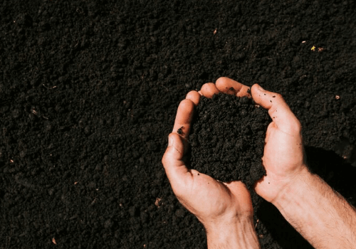 Top Soil